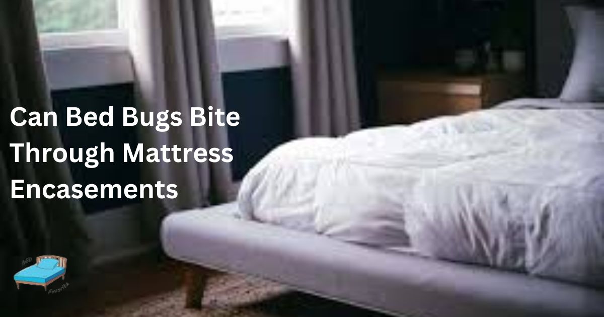 can bed bugs bite through mattress encasements