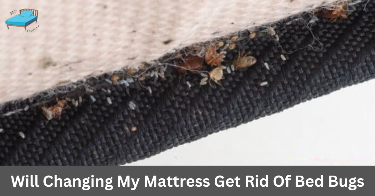 Will changing my mattress get rid of bed bugs